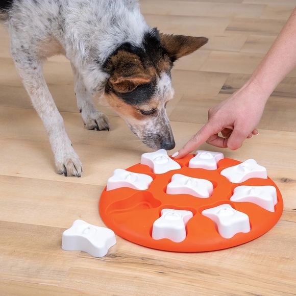 Nina Ottosson by Outward Hound Treat Dog Toy Feeder - Picture 7 of 11
